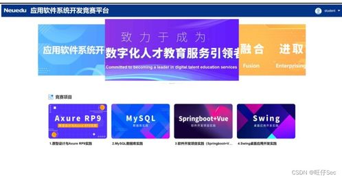 2023年四川省职业院校技能大赛高职组应用软件系统开发赛项样题解析与软件开发技术推广